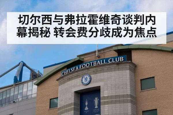 切尔西与弗拉霍维奇谈判内幕揭秘 转会费分歧成为焦点